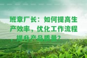 班章廠長(zhǎng)：怎樣提升生產(chǎn)效率，優(yōu)化工作流程，提升產(chǎn)品品質(zhì)？