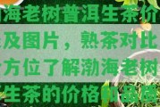 渤海老樹普洱生茶價(jià)格表及圖片，熟茶對比，全方位熟悉渤海老樹普洱生茶的價(jià)格和品質(zhì)