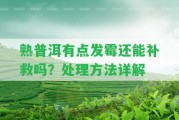 熟普洱有點(diǎn)發(fā)霉還能補(bǔ)救嗎？解決方法詳解