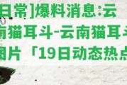 [日常]爆料消息:云南貓耳斗-云南貓耳斗圖片「19日動(dòng)態(tài)熱點(diǎn)」