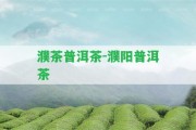 濮茶普洱茶-濮陽(yáng)普洱茶