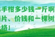 佛手柑多少錢一斤啊？圖片、價錢和一棵樹的價格！