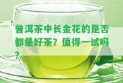 普洱茶中長金花的是不是都是好茶？值得一試嗎？