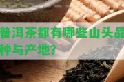 普洱茶都有哪些山頭品種與產(chǎn)地？