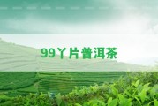 99丫片普洱茶