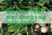 普洱生茶放了6年能否飲用？茶葉貯存十年后是不是仍適宜飲用？