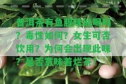 普洱茶有魚腥味能喝嗎？毒性怎樣？女生可否飲用？為何會出現(xiàn)此味？是不是意味著爛茶？