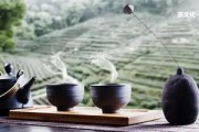 熟普洱茶洗幾次才可以飲用？完整洗茶步驟和時間！