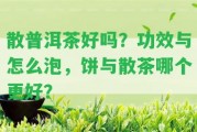 散普洱茶好嗎？功效與怎么泡，餅與散茶哪個(gè)更好？