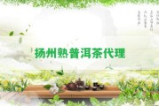 揚(yáng)州熟普洱茶代理