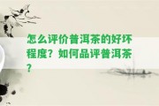 怎么評(píng)價(jià)普洱茶的好壞程度？怎樣品評(píng)普洱茶？