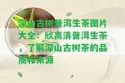 深山古樹普洱生茶圖片大全：欣高清普洱生茶，熟悉深山古樹茶的品質(zhì)和來源