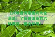 【六味普洱茶圖片大全高清】熟悉普洱茶的六味兩性，圖文并茂！