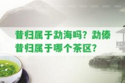 昔歸屬于勐海嗎？勐傣昔歸屬于哪個茶區(qū)？