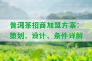 普洱茶招商加盟方案：策劃、設(shè)計(jì)、條件詳解