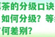 普洱茶的分級口訣是什么？怎樣分級？等級高低有何差別？