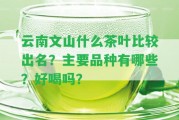 云南文山什么茶葉比較出名？主要品種有哪些？好喝嗎？