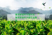 普洱茶金葉子是什么-普洱茶金葉子是什么顏色