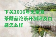 下關(guān)2016年無量緊茶蘑菇沱茶開測評及口感怎么樣