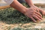 革登古茶普洱什么價位？革登古茶山普洱茶的特點