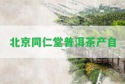 北京同仁堂普洱茶產自