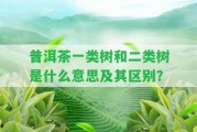 普洱茶一類(lèi)樹(shù)和二類(lèi)樹(shù)是什么意思及其區(qū)別？