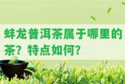 蚌龍普洱茶屬于哪里的茶？特點(diǎn)怎樣？