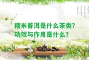 糯米普洱是什么茶類(lèi)？功效與作用是什么？