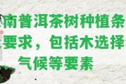 云南普洱茶樹種植條件及請求，包含木選擇和土、氣候等要素