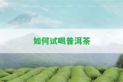 怎樣試喝普洱茶