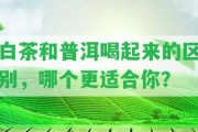 白茶和普洱喝起來的區(qū)別，哪個更適合你？