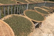 烏龍茶與普洱茶哪個(gè)好喝