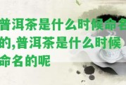 普洱茶是什么時候命名的,普洱茶是什么時候命名的呢