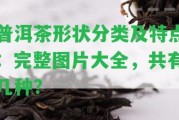 普洱茶形狀分類及特點：完整圖片大全，共有幾種？