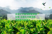 云南七子普洱熟茶餅茶價(jià)格 云南七子普洱熟茶餅茶價(jià)格多少