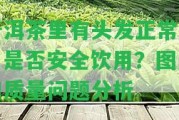 普洱茶里有頭發(fā)正常嗎？是不是安全飲用？圖片和品質疑問分析