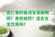 杏仁香的普洱生茶能喝嗎？毒性怎樣？適合女生飲用嗎？