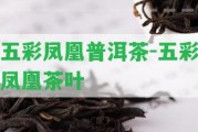 五彩鳳凰普洱茶-五彩鳳凰茶葉