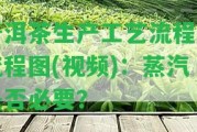 普洱茶生產(chǎn)工藝流程及流程圖(視頻)：蒸汽是不是必要？