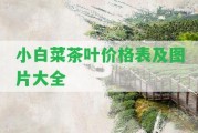 小白菜茶葉價格表及圖片大全