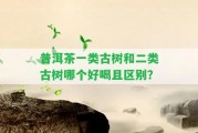 普洱茶一類古樹和二類古樹哪個好喝且區(qū)別？