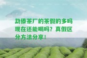 勐傣茶廠的茶假的多嗎現(xiàn)在還能喝嗎？真假區(qū)分方法分享！