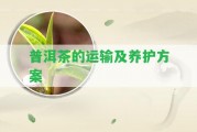 普洱茶的運(yùn)輸及養(yǎng)護(hù)方案