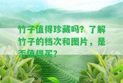 竹子值得珍藏嗎？熟悉竹子的檔次和圖片，是不是值得買？