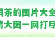 普洱茶的圖片大全集，高清大圖一網(wǎng)打盡