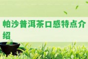 帕沙普洱茶口感特點(diǎn)介紹