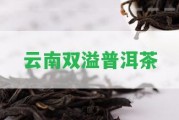 云南雙溢普洱茶