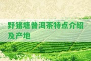 野豬塘普洱茶特點(diǎn)介紹及產(chǎn)地