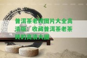 普洱茶老磚圖片大全高清版：收藏普洱茶老茶磚的高清大圖