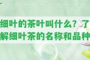 細(xì)葉的茶葉叫什么？熟悉細(xì)葉茶的名稱(chēng)和品種